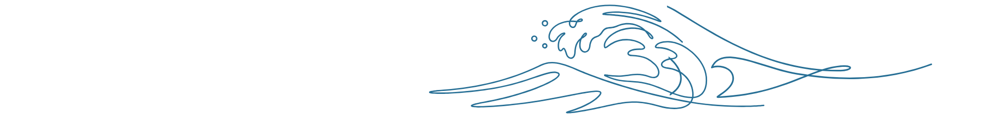 Vague à l'océan de Biscarrosse dans les Landes