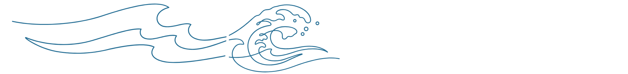 Vague de surf à Biscarrosse dans les Landes