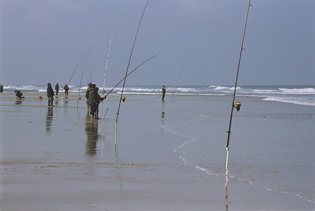 Surfcasting