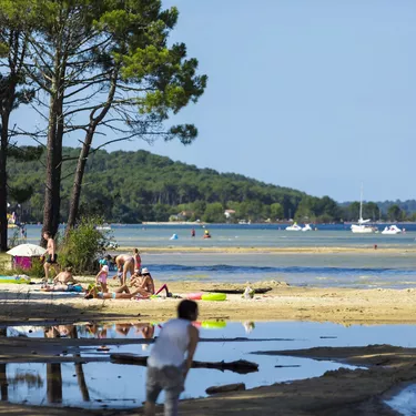 The beaches of Biscarrosse Lake