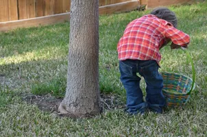 tree-nature-grass-plant-lawn-celebration-797908-pxhere.com